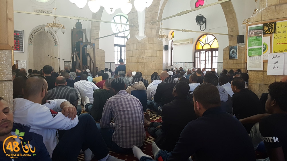 Mohamed3aysesha (2).jpg